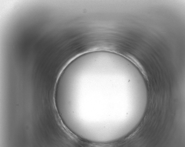 X0000068271340200605051805