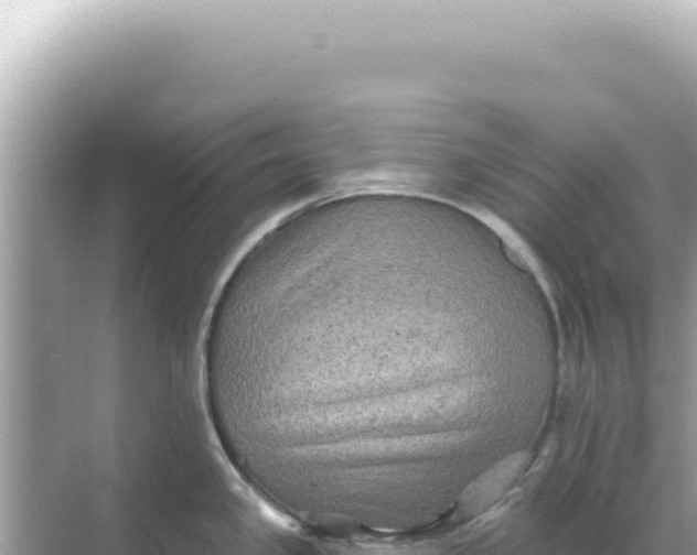 X0000068271341200605051805