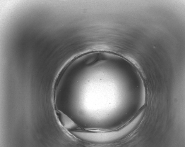 X0000068271342200605051805