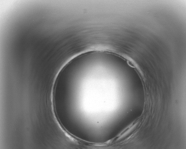 X0000068271343200605051805