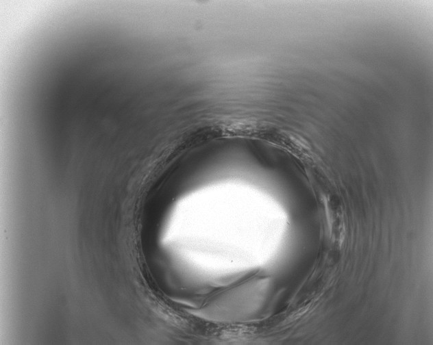 X0000068271345200605051804