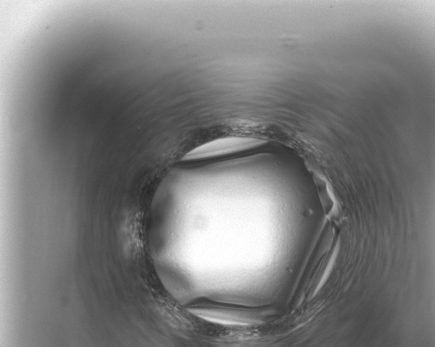 X0000068271346200605051804