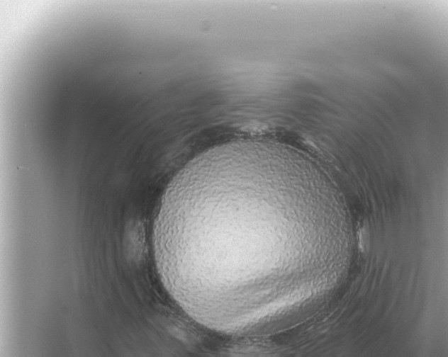 X0000068271347200605051804