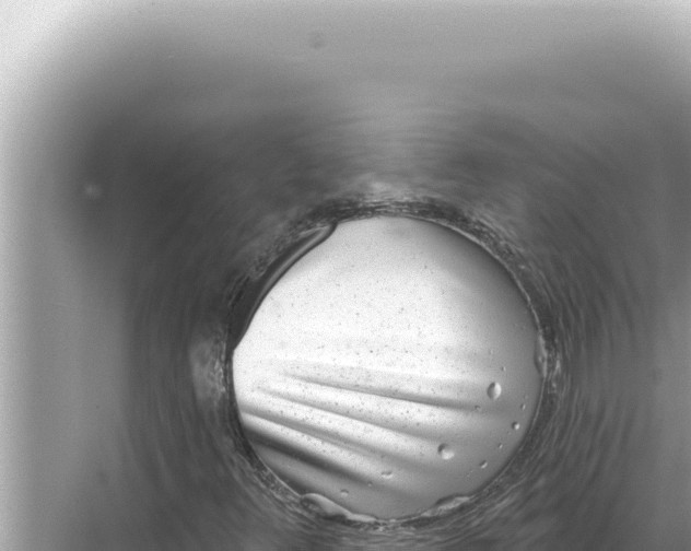 X0000068271348200605051804