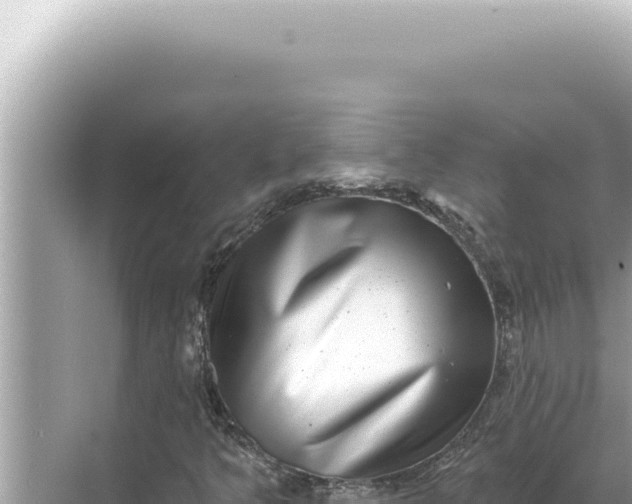 X0000068271349200605051804