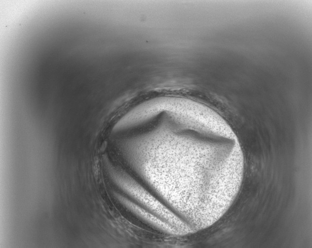 X0000068271350200605051804