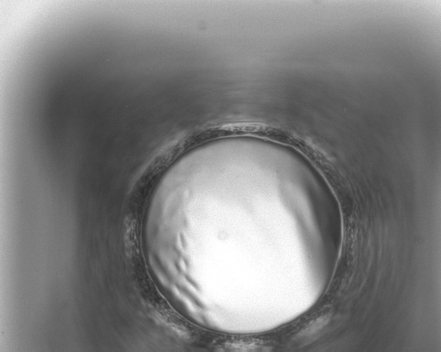 X0000068271351200605051804