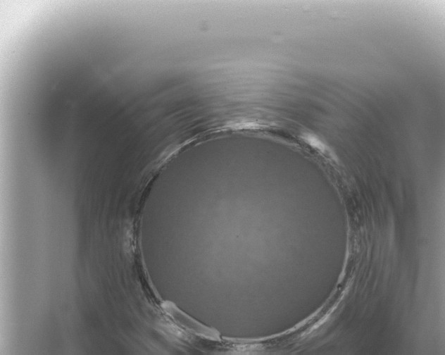 X0000068271353200605051804