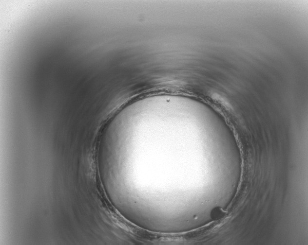 X0000068271354200605051804