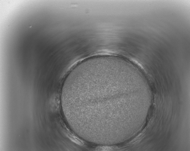 X0000068271355200605051804