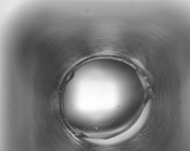 X0000068271356200605051804