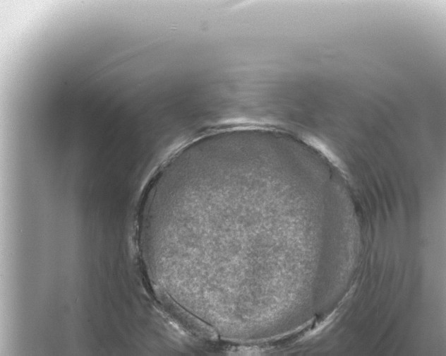 X0000068271357200605051804