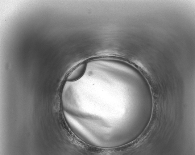 X0000068271358200605051804