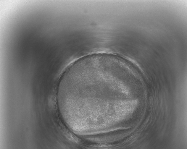 X0000068271359200605051804