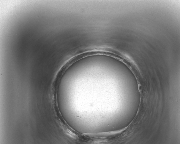 X0000068271360200605051804