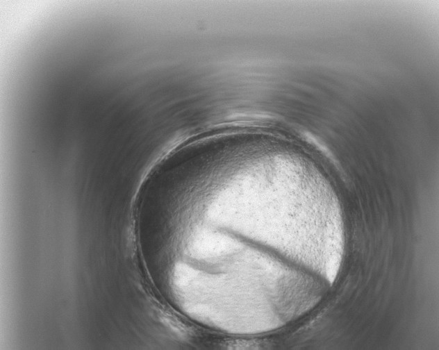 X0000068271362200605051804