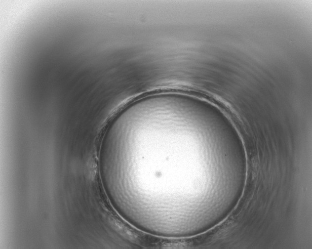 X0000068271363200605051804