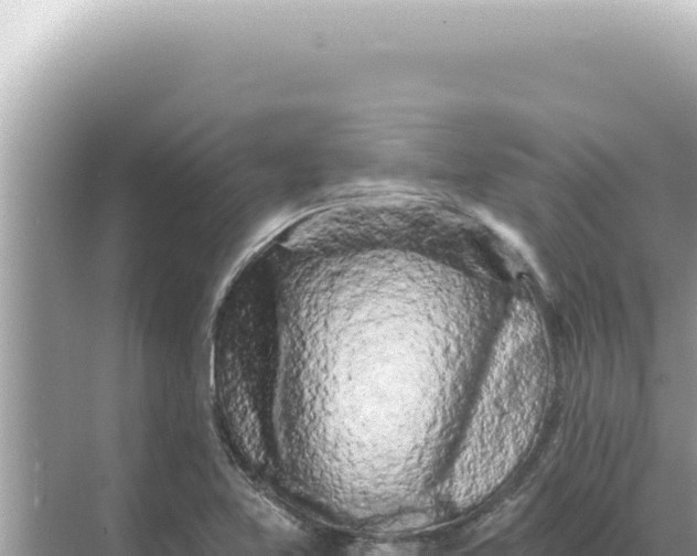 X0000068271365200605051804