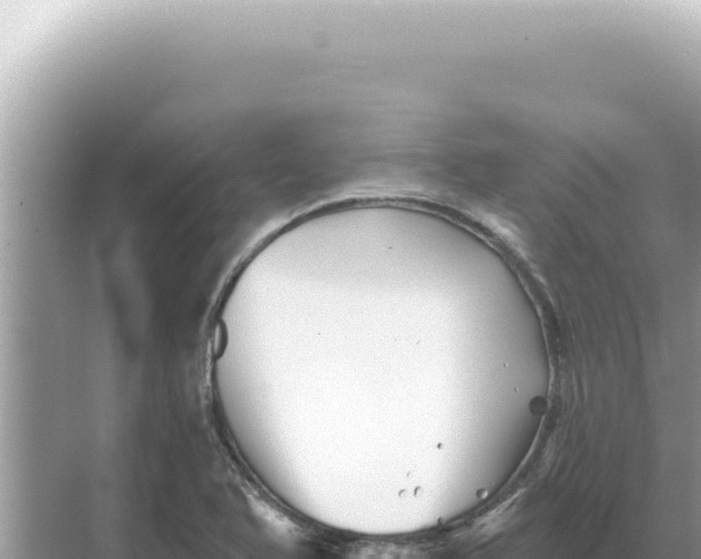 X0000068271366200605051804