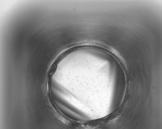 X0000068271368200605051804