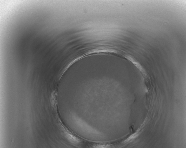 X0000068271369200605051804