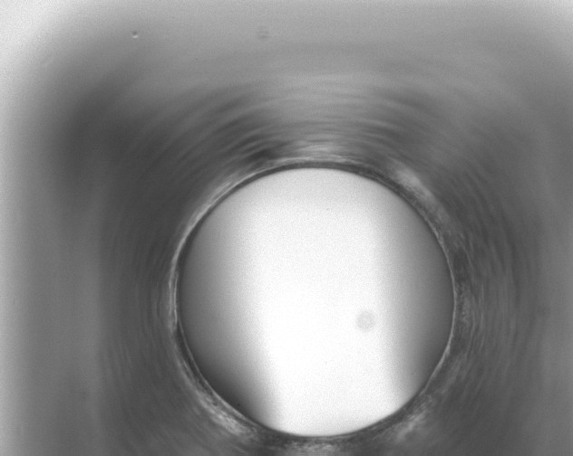 X0000068271370200605051804