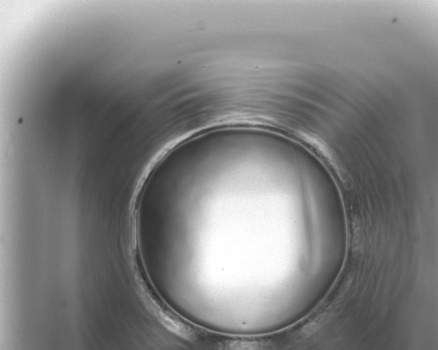 X0000068271371200605051804