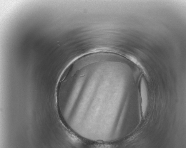 X0000068271372200605051804