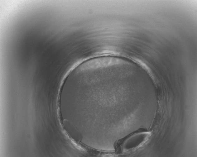 X0000068271373200605051804