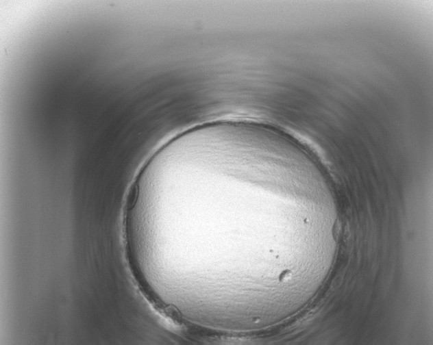 X0000068271375200605051804