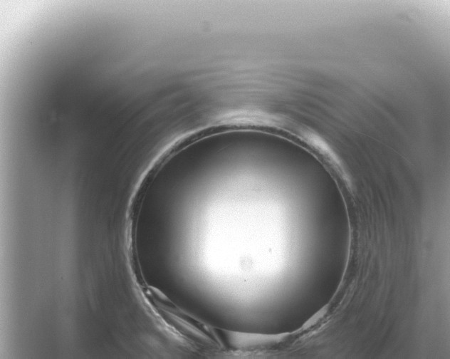 X0000068271376200605051804