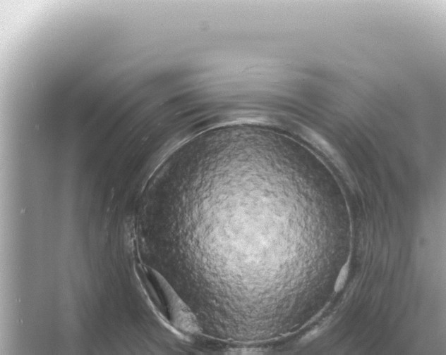 X0000068271377200605051804