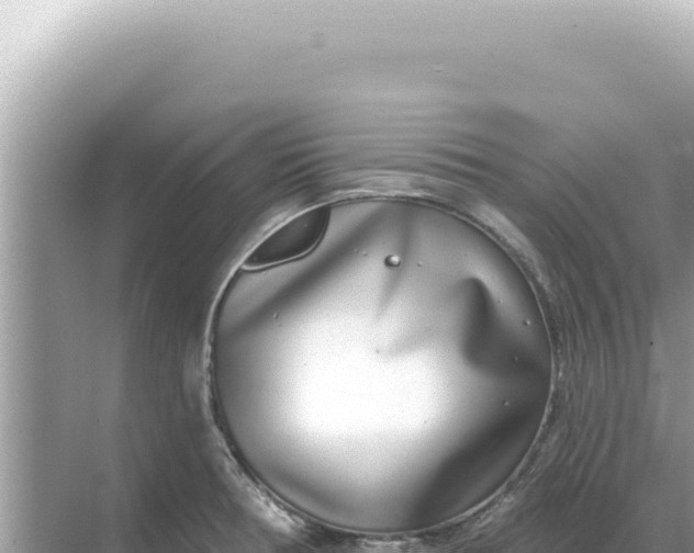 X0000068271378200605051804