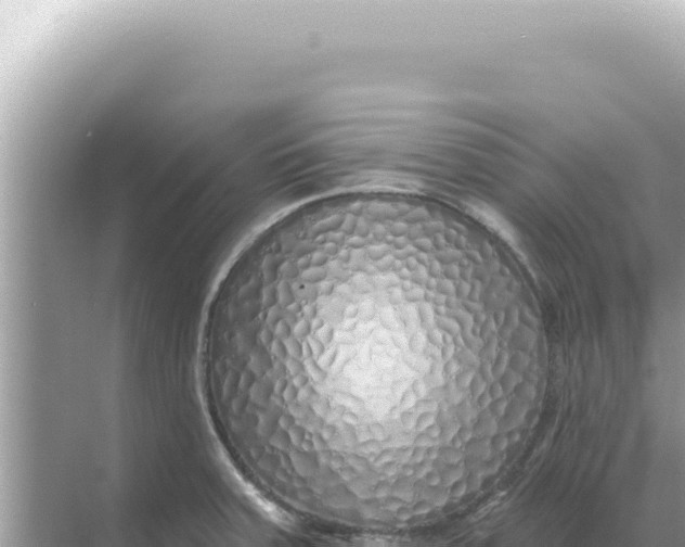 X0000068271379200605051804