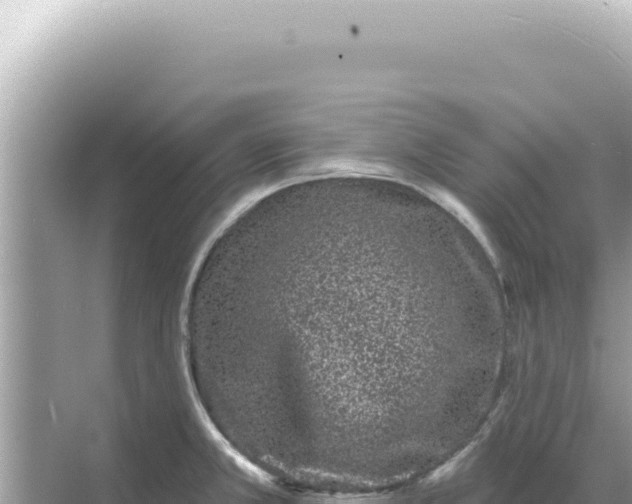 X0000068271381200605051804