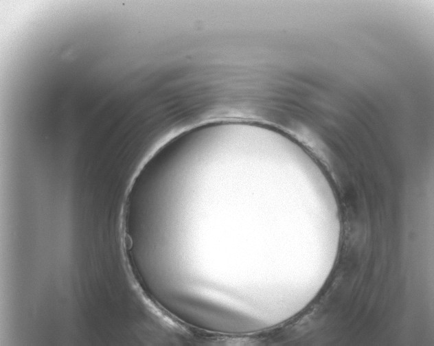 X0000068271382200605051804