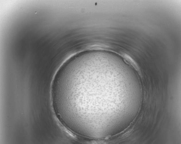 X0000068271384200605051804