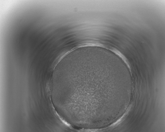 X0000068271385200605051804