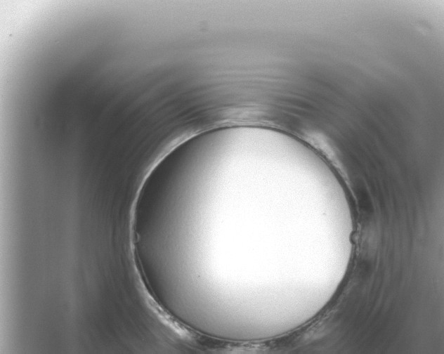 X0000068271386200605051804