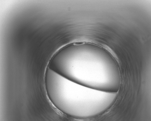 X0000068271388200605051804