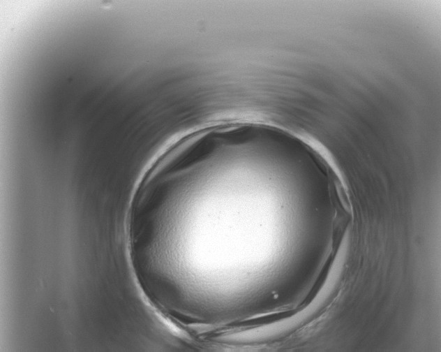 X0000068271389200605051803