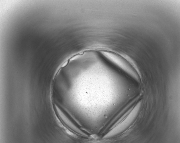 X0000068271390200605051803