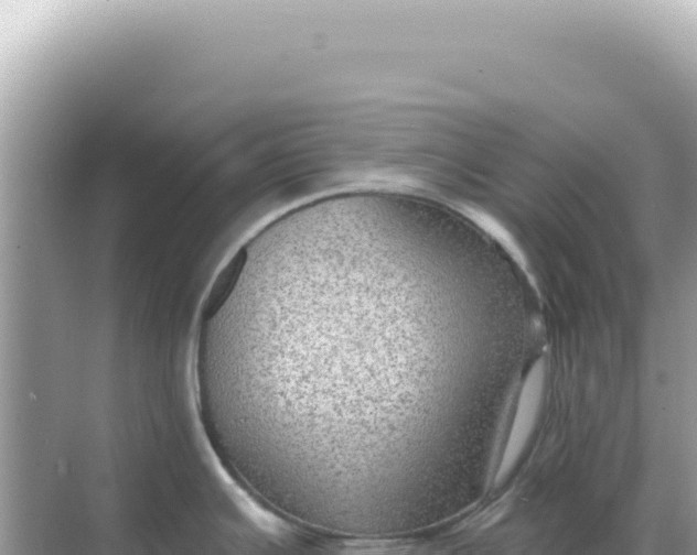 X0000068271391200605051803