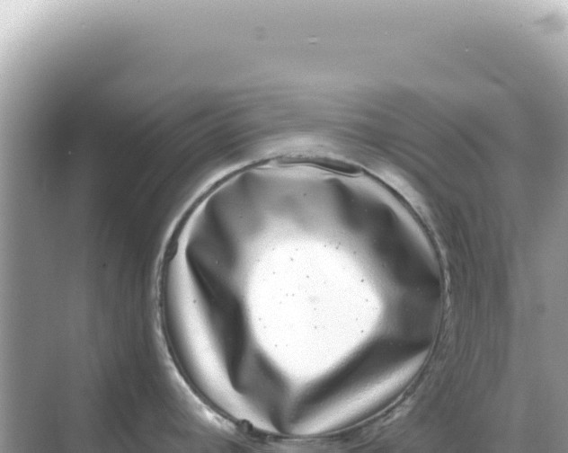 X0000068271392200605051803