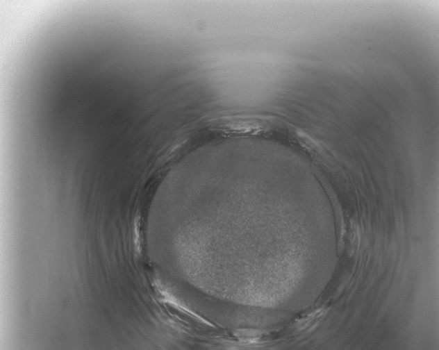 X0000068271394200605051803