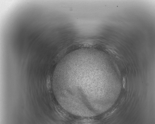 X0000068271395200605051803