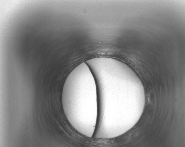 X0000068271396200605051803