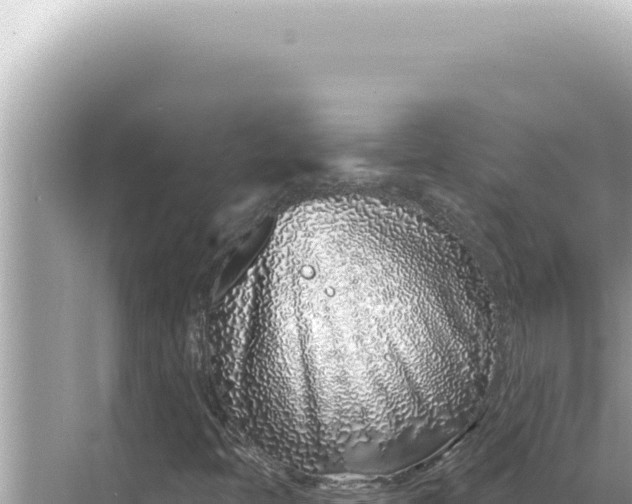 X0000068271397200605051803