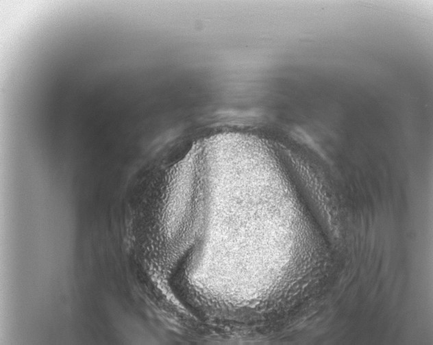 X0000068271399200605051803