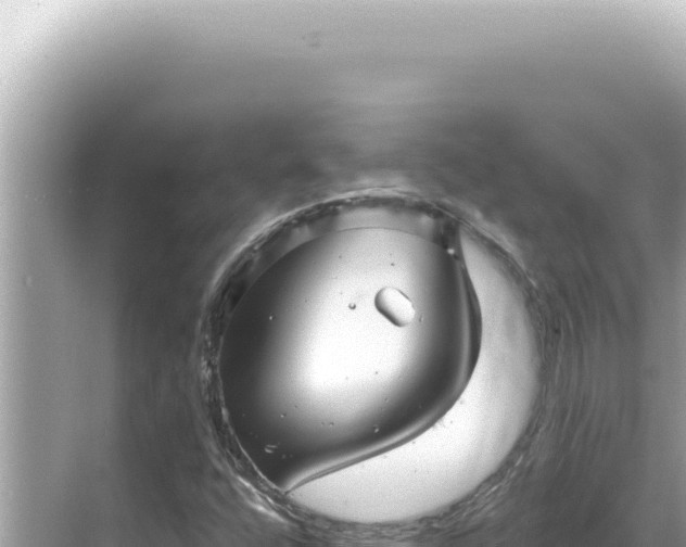 X0000068271400200605051803